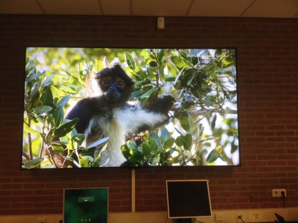 Deze 98" TV welke we geïnstalleerd hebben is een mooi voorbeeld van grote beeldschermen.